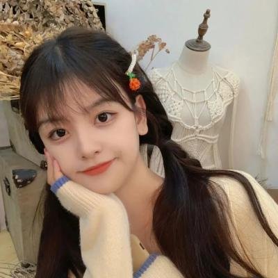 猪头汉堡包