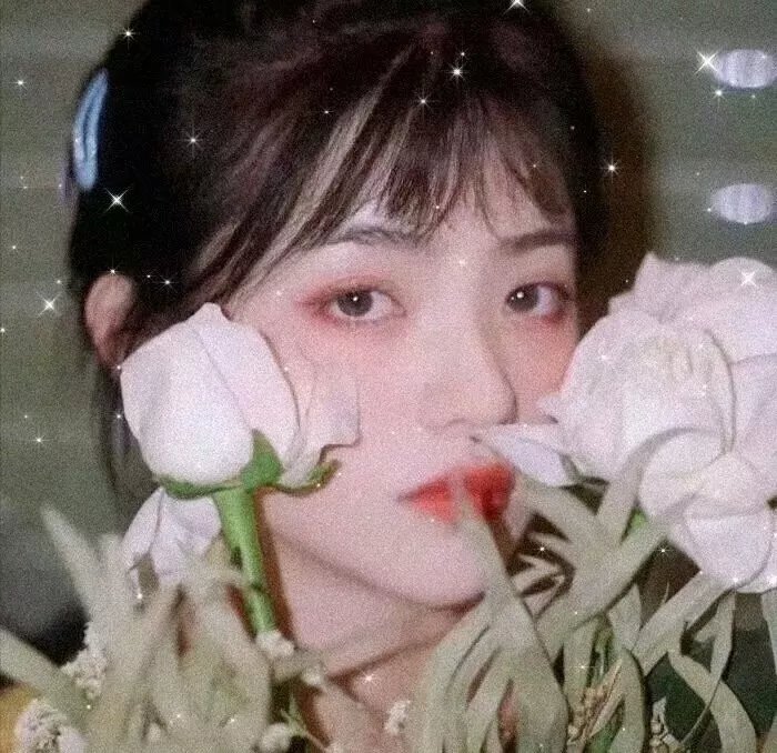 血界战线第二季