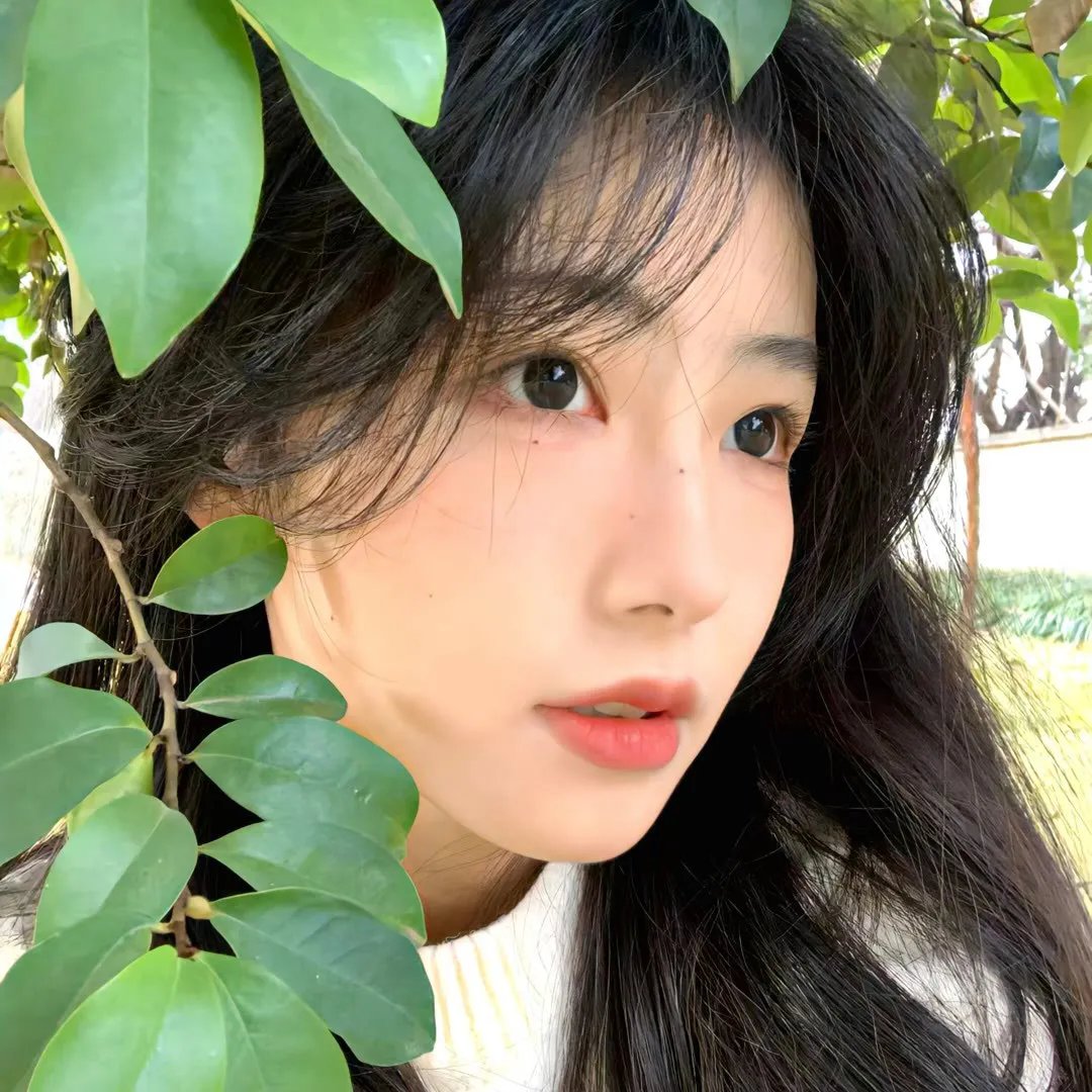 从未说过的话